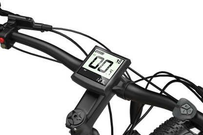 Electric Bike 48V LCD Display