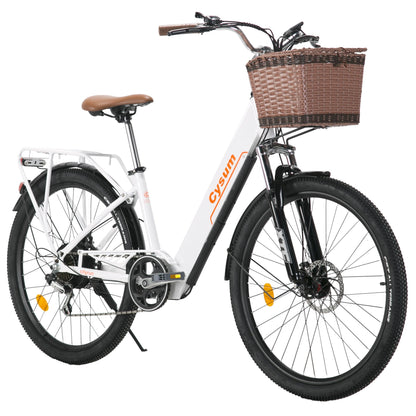 Cityrun Electric Bike, 80 KM Range