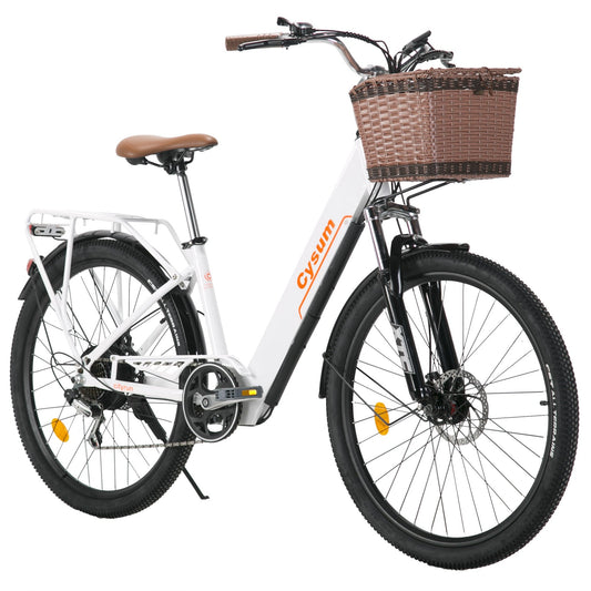 Cityrun Electric Bike, 80 KM Range