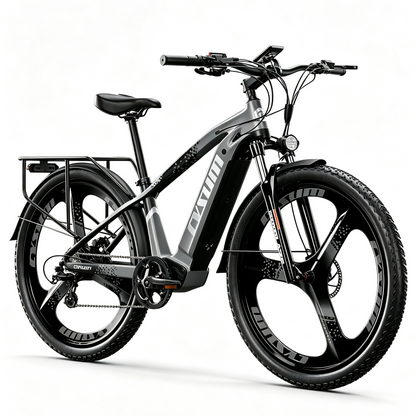 Speedy Electric Bike 29"