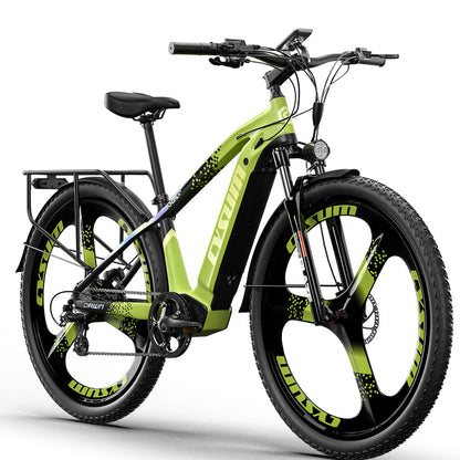 Speedy Electric Bike 29"
