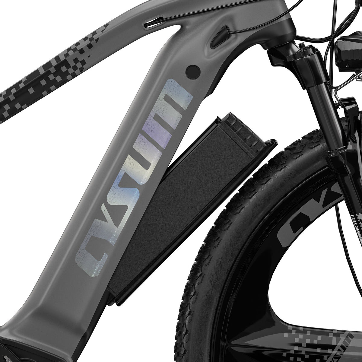 Speedy Electric Bike 29"