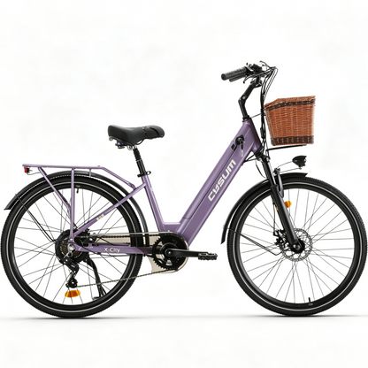X-City Electric Bike 48V 250W