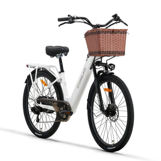 X-City Electric Bike 48V 250W
