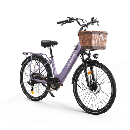 X-City Electric Bike 48V 250W